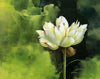 Lotus Flower Paint by Numbers
