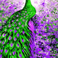 Beautiful Peacock Paint by Numbers