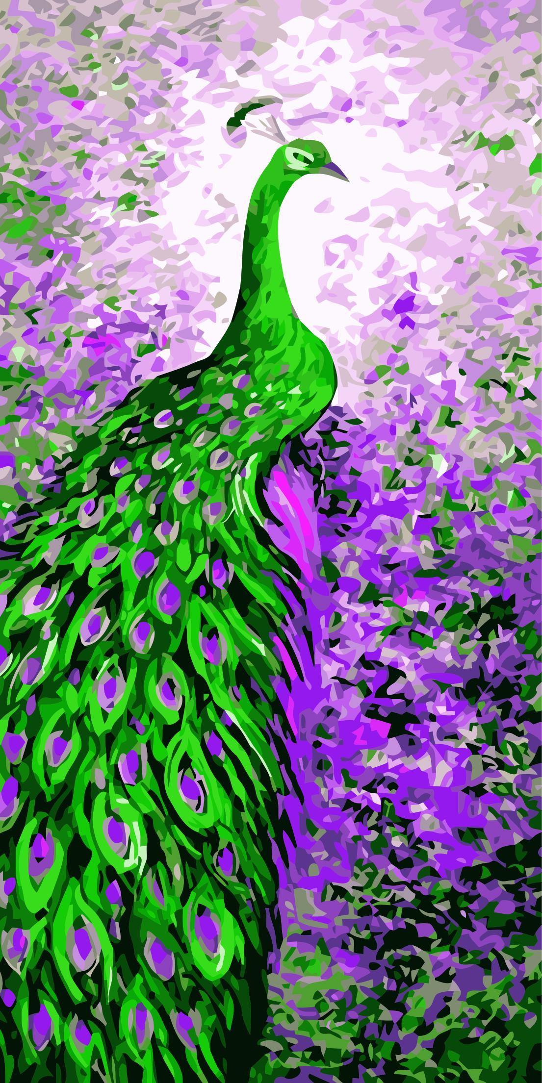 Beautiful Peacock Paint by Numbers