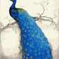 Peacock on Tree Branch Paint by Numbers