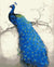 Peacock on Tree Branch Paint by Numbers