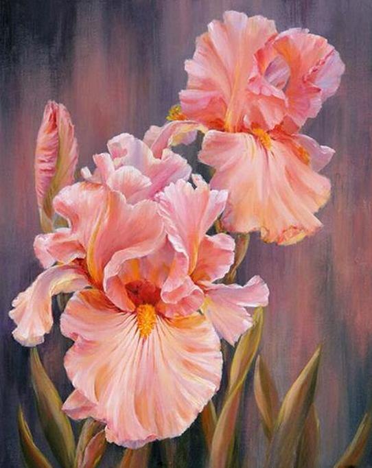 Pink Flowers Paint by Numbers