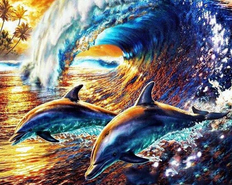  Dolphins Pair Paint by Numbers