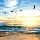 Birds & Beach Paint by Numbers