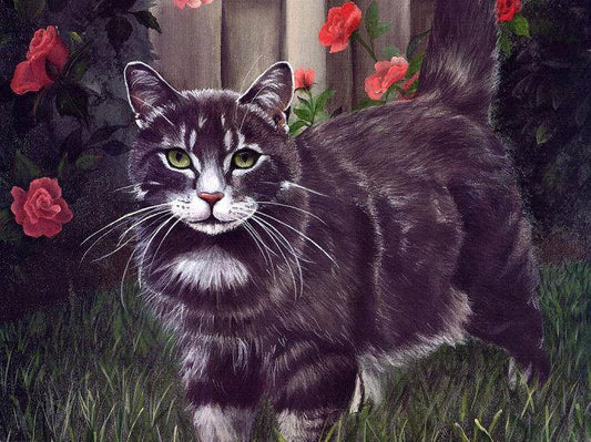 Cat & Roses Paint by Numbers