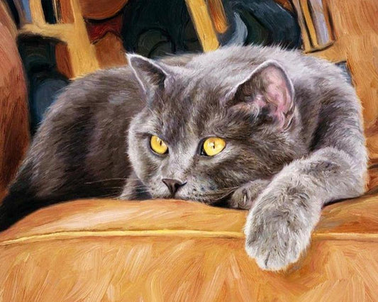 Black Cat Paint by Numbers