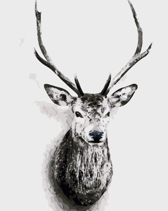 Black & White Stag Paint by Numbers