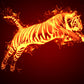 Blazing Tiger Paint by Numbers