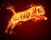 Blazing Tiger Paint by Numbers