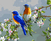 Blue Birds Paint by Numbers