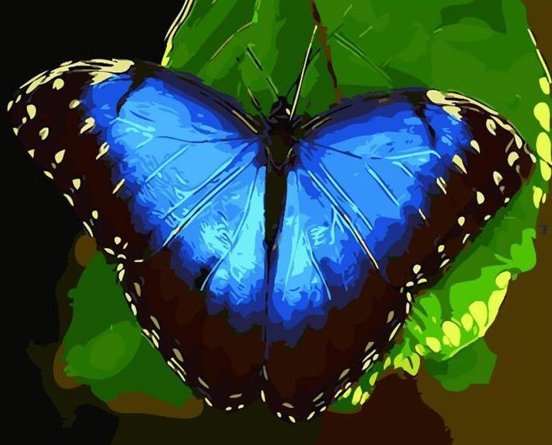 Blue Butterfly Paint by Numbers