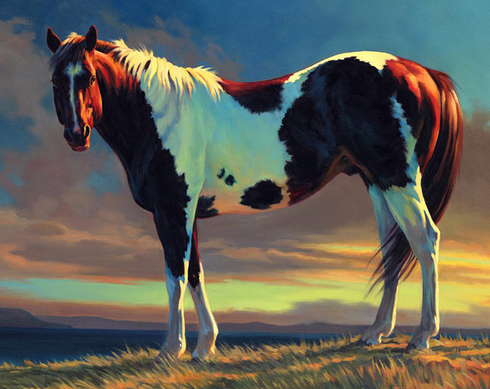 Brown & White Horse Paint by Numbers