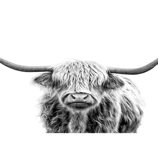 Bull Paint by Numbers Kit