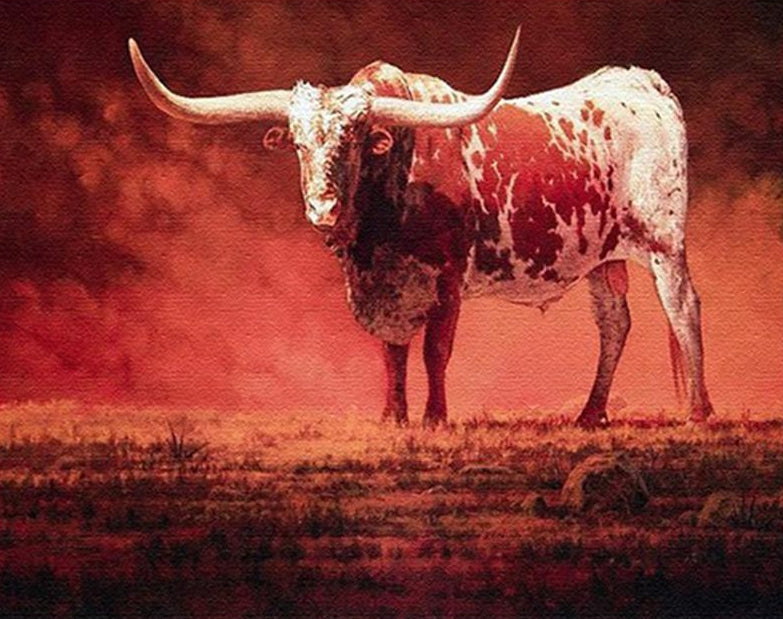 Bull Paint by Numbers kit