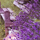 Butterfly Bush Paint by Numbers