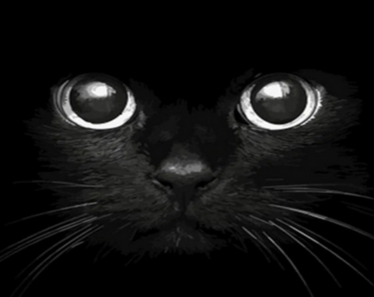 Cat Eyes Painting Kit
