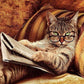 Funny Cat Paint by Numbers