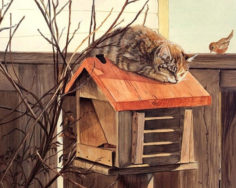 Cat on Birds House Paint by Numbers
