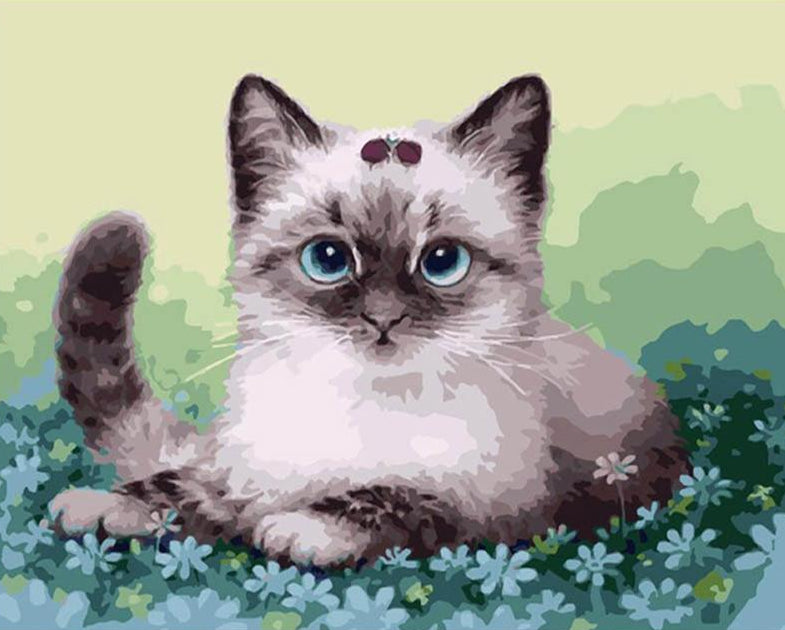 Cute Cat Paint by Numbers