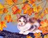Cat on Autumn Tree Paint by Numbers