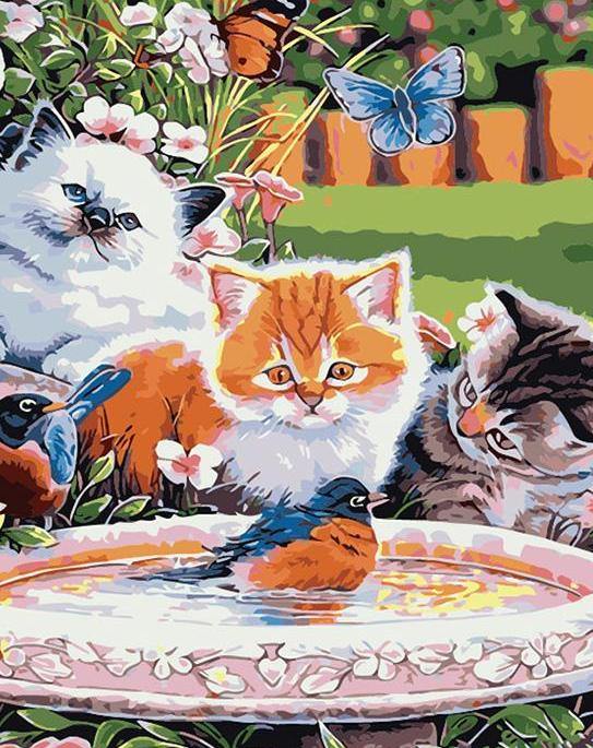 Cats & Birds Painting by Numbers