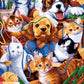 Cats & Dogs Paint by Numbers