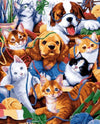 Cats &amp; Dogs Paint by Numbers