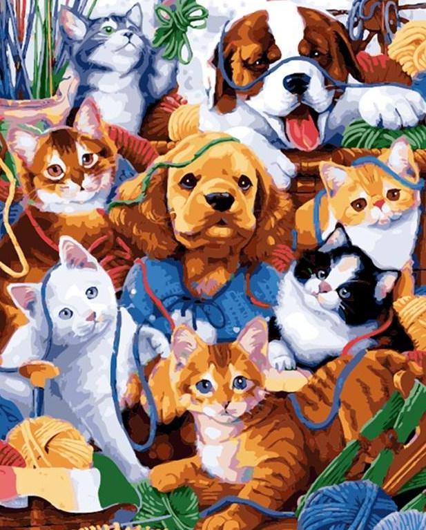 Cats & Dogs Paint by Numbers