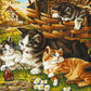 Cats in the Garden Paint by Numbers