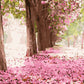 Cherry Blossom Trees Painting Kit