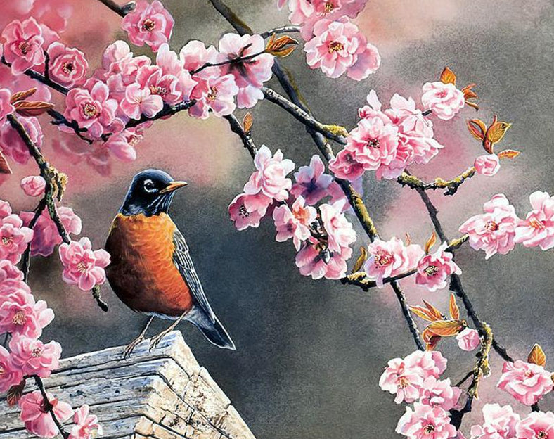 Flowers & Bird Paint by Numbers
