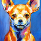 Chihuahua DIY Painting Kit