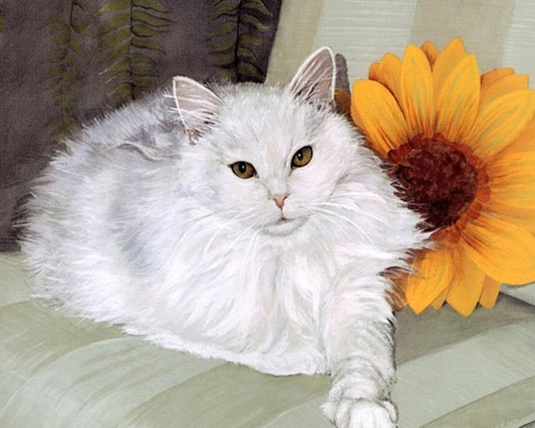 Chubby White Cat Paint by Numbers