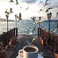 Coffee & Birds Paint by Numbers
