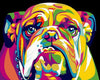 Colorful Bulldog Paint by Numbers