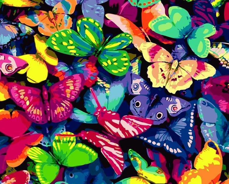 Colorful Butterflies Paint by Numbers