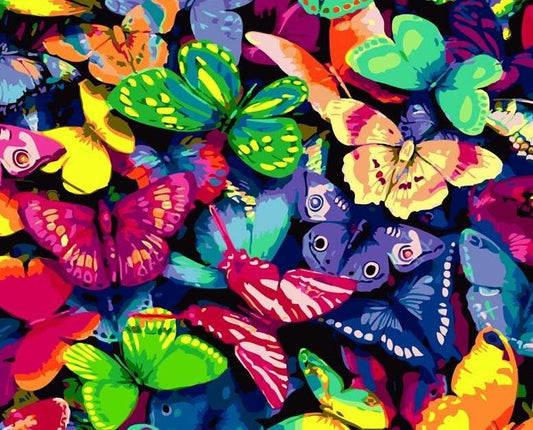 Colorful Butterflies Paint by Numbers