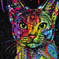 Cat Paint by Numbers