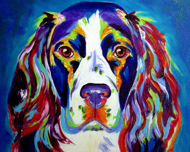 English Springier Spaniel Paint by Numbers