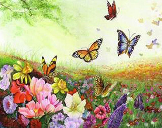 Butterflies Paint by Numbers