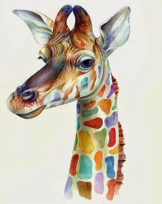 Colorful Giraffe Paint by Numbers