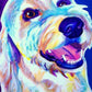 Golden doodle Paint by Numbers