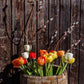 Colorful Tulips Paint by Numbers