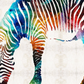 Colorful Zebra DIY Painting Kit