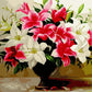 Colorful lilies Paint by Numbers