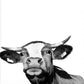Cow Paint by Numbers