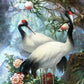 Crane Pair Paint by Numbers