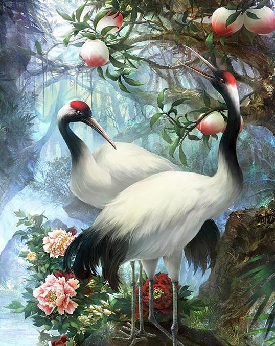 Crane Pair Paint by Numbers