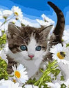 Cat &amp; Daisies Paint by Numbers