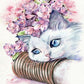 Cute Cat Paint by Numbers